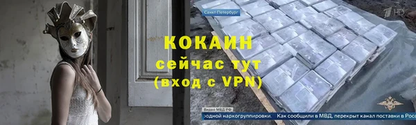 гашик Аркадак