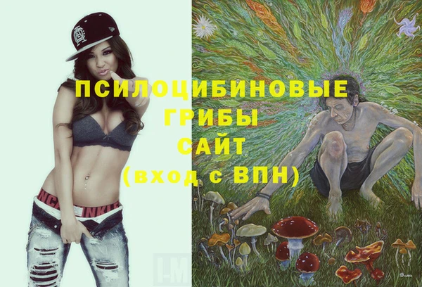 бошки Армянск